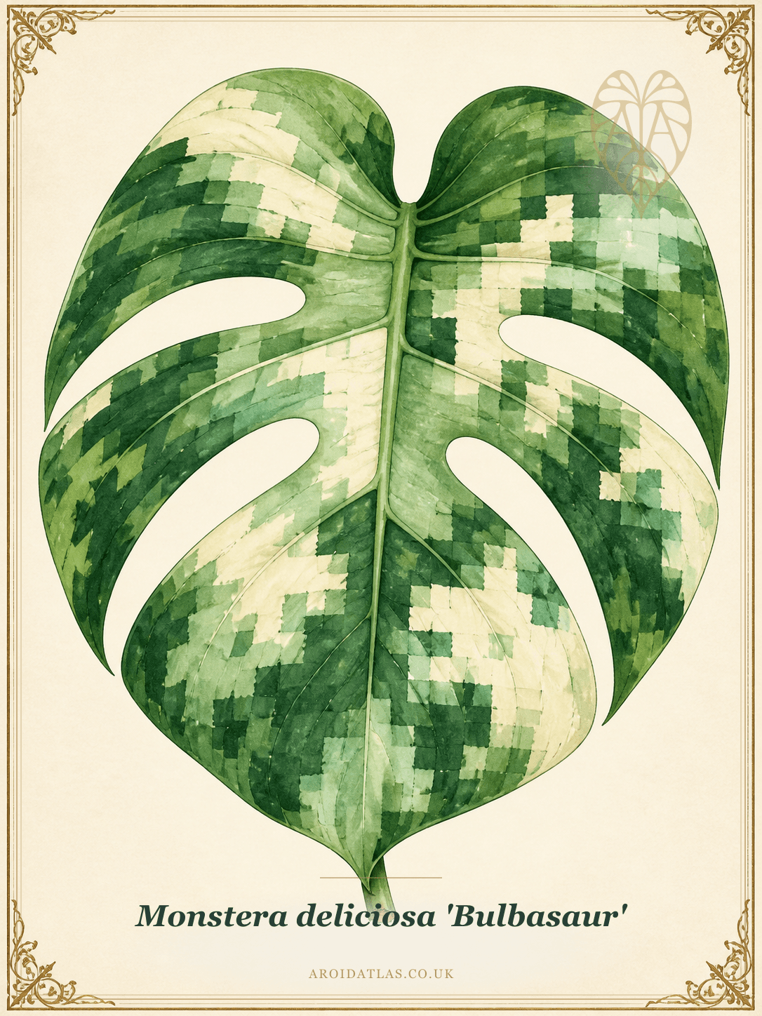 Bulbasaur Monstera