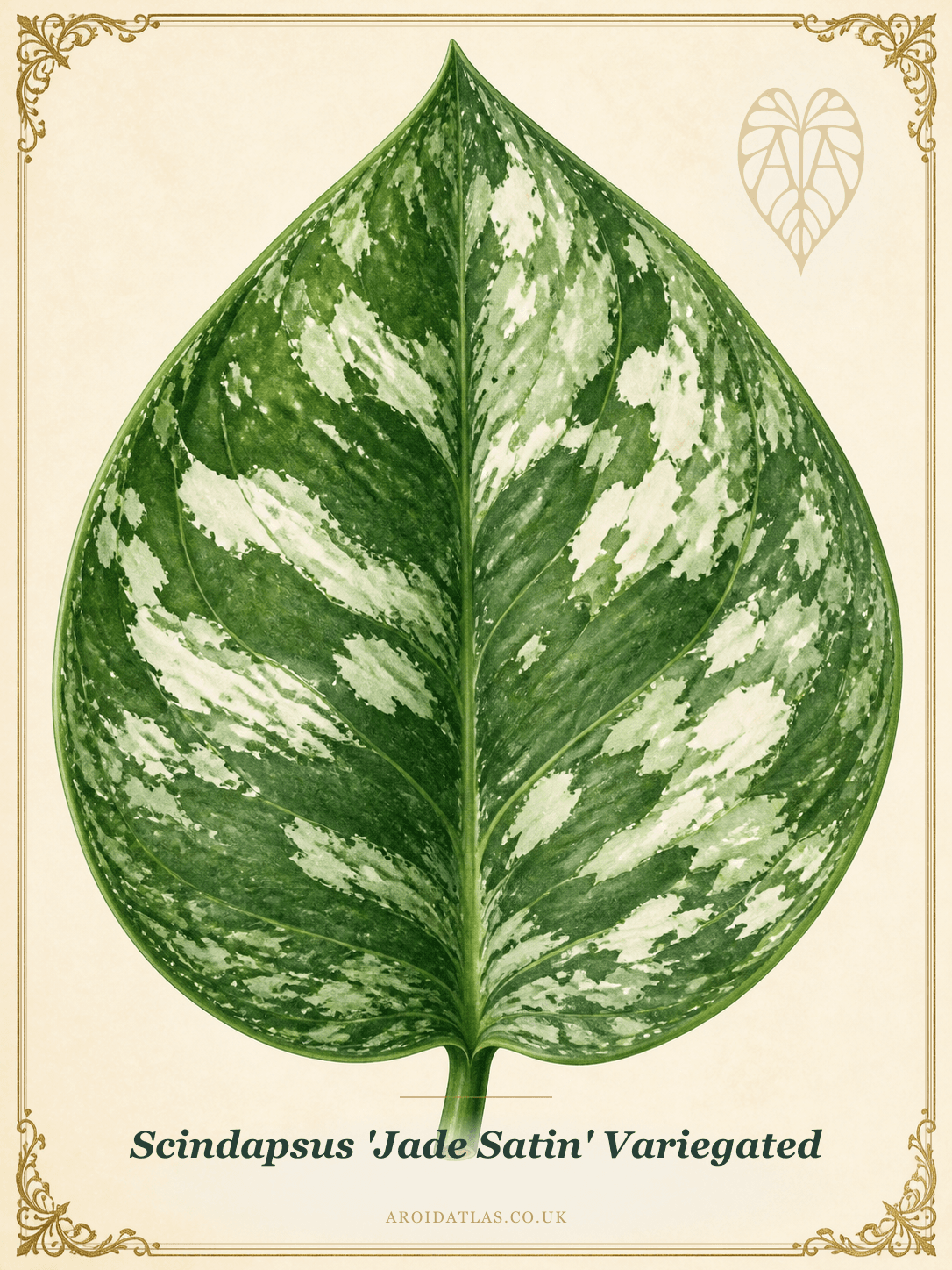 Variegated Jade Satin