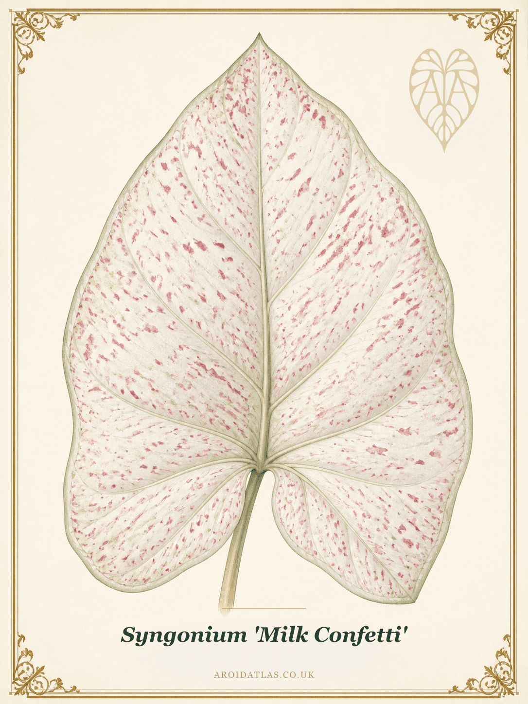Milk Confetti Syngonium